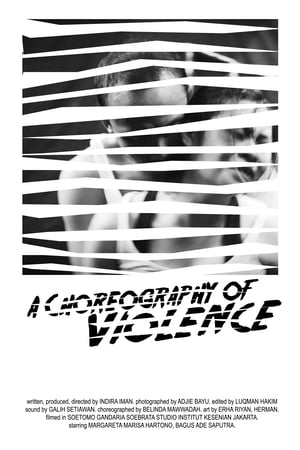 A Choreography of Violence - 2018高清海报.jpg