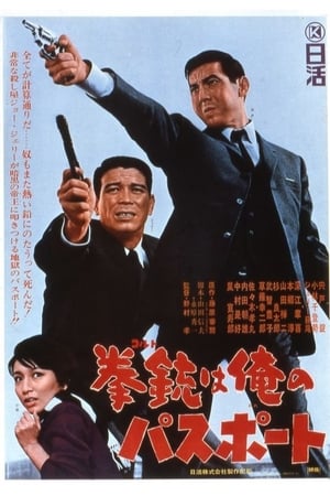 A Colt Is My Passport - 1967高清海报.jpg