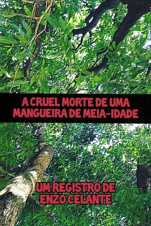 A Cruel Morte de uma Mangueira de Meia-Idade - 2021高清海报.jpg