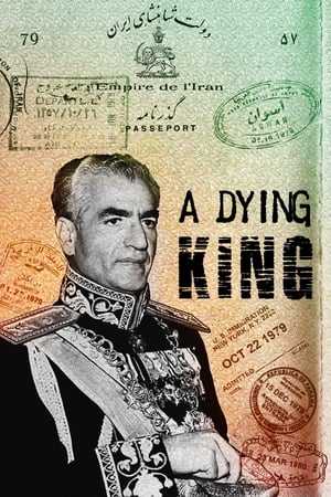 A Dying King The Shah of Iran - 2017高清海报.jpg