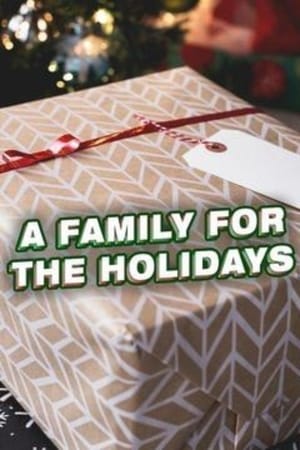 A Family for the Holidays - 2017高清海报.jpg