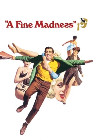 A Fine Madness - 1966高清海报.jpg