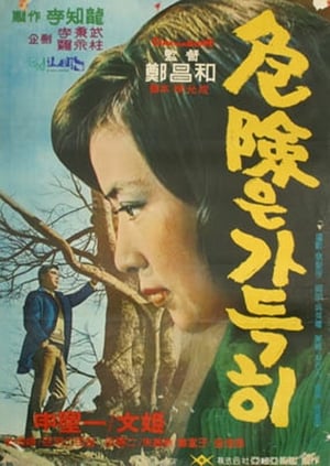 A Full Danger - 1967高清海报.jpg