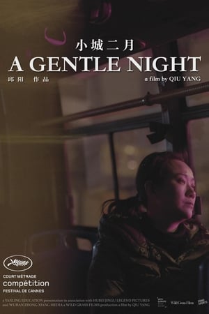 A Gentle Night - 2018高清海报.jpg