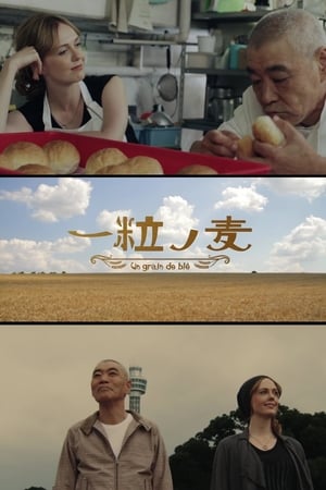 A Grain of Wheat - 2016高清海报.jpg