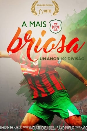 A Mais Briosa - Um Amor 100 Divisão - 2017高清海报.jpg