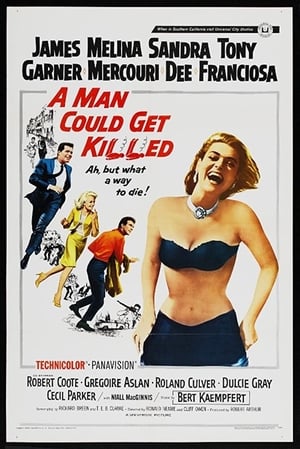 A Man Could Get Killed - 1966高清海报.jpg