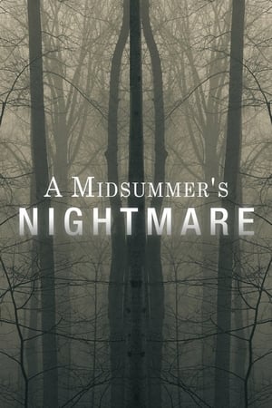 A Midsummer's Nightmare - 2017高清海报.jpg