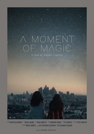 A Moment of Magic - 2020高清海报.jpg