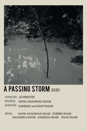 A Passing Storm - 2020高清海报.jpg