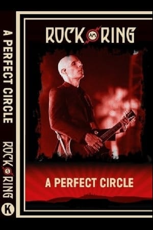 A Perfect Circle Rock Am Ring - 2018高清海报.jpg