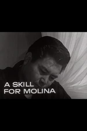 A Skill for Molina - 1964高清海报.jpg