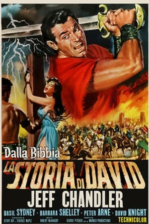 A Story of David - 1960高清海报.jpg