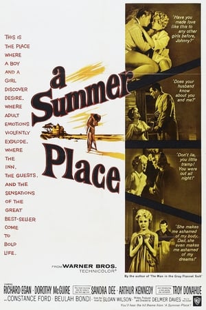 A Summer Place - 1959高清海报.jpg