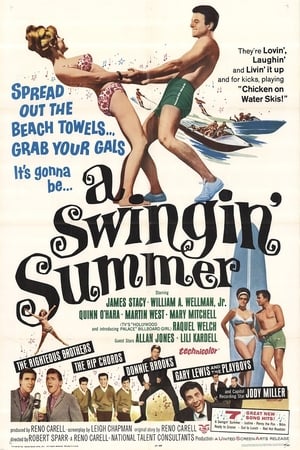 A Swingin' Summer - 1965高清海报.jpg