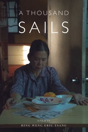 A Thousand Sails - 2019高清海报.jpg