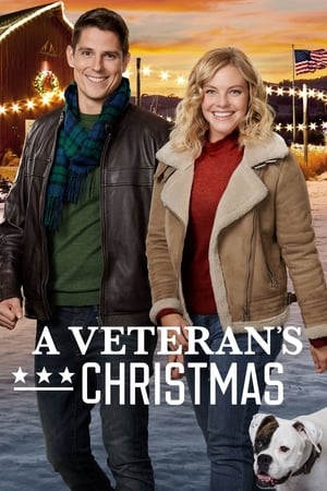 A Veteran's Christmas - 2018高清海报.jpg