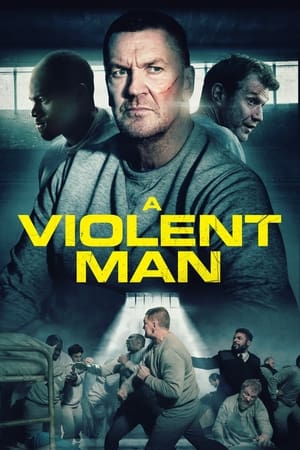 A Violent Man - 2022高清海报.jpg