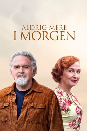 Aldrig mere i morgen - 2017高清海报.jpg