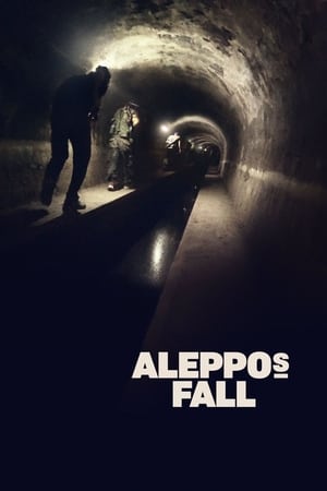 Aleppo's Fall - 2017高清海报.jpg