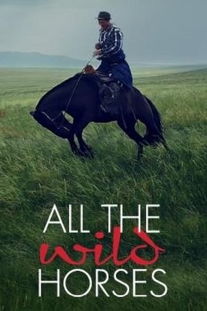 All the Wild Horses - 2017高清海报.jpg