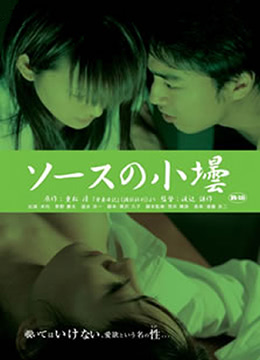 爱妻日记之蹂躏(Diary of Beloved Wife Saucepot)2006电影封面.jpg