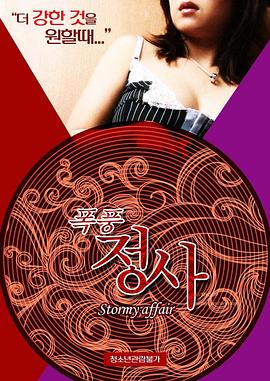 暴风情事(绯闻风暴,Stormy Affair)2015电影封面.jpg