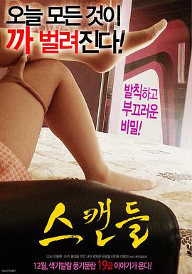 丑闻(绯闻  Scandal)2016电影封面.jpg