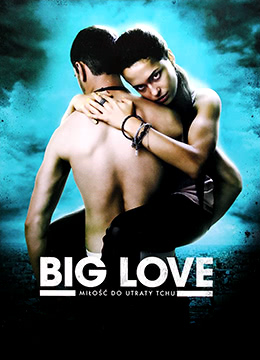 大爱(Big Love)2012电影封面.jpg