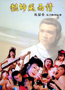 盗帅之风雨情(艳帅风雨情)1992电影封面.jpg