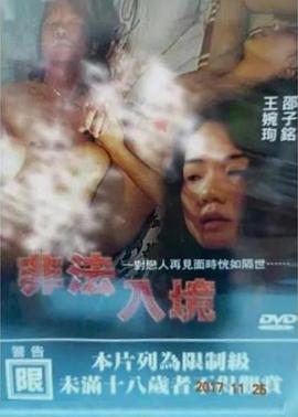 非法入境(Illegal Entry)1997电影封面.jpg