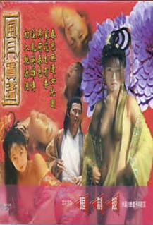 风月宝鉴之初入桃源洞1999电影封面.jpg