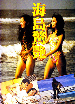 海岛惊艳1990电影封面.jpg