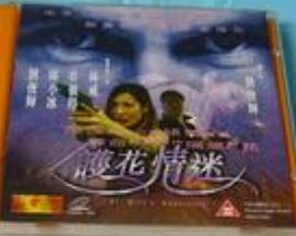 护花情迷(中国香港)1999电影封面.jpg