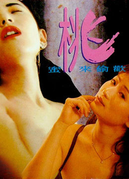 蜜桃来偷欢1993电影封面.jpg