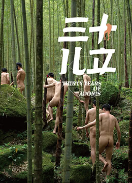 三十儿立2007电影封面.jpg