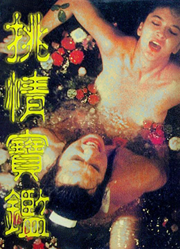 素女经之挑情宝鉴(素女与真经)1992电影封面.jpg