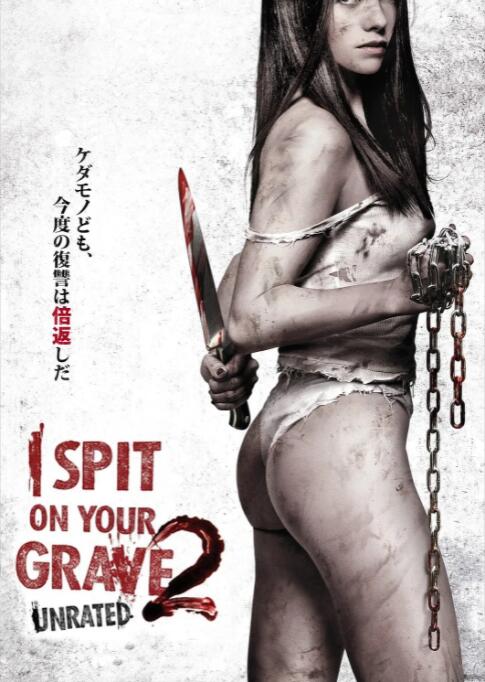 我唾弃你的坟墓2(I Spit on Your Grave 2)2013电影封面.jpg