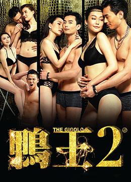 鸭王2(鸭王2：鸡同鸭恋  The Gigolo 2)2016电影封面.jpg