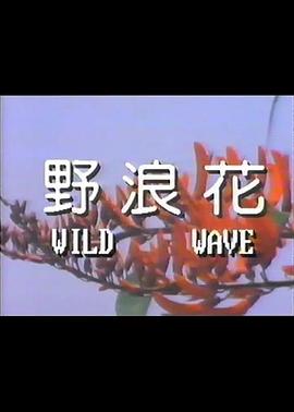 野浪花(色欲野鸳鸯)1987电影封面.jpg