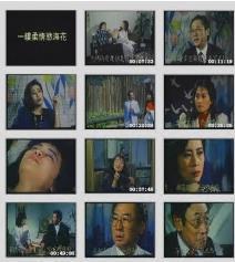 一缕柔情欲海花1970电影封面.jpg