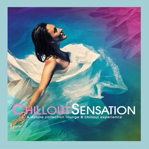 Various Artists2012《Chillout Sensation》专辑封面图片.jpg