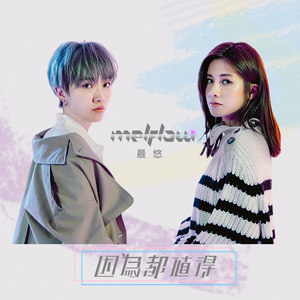 晨悠 melFlow2020《因为都值得 (新东方公益主题曲)》专辑封面图片.jpg