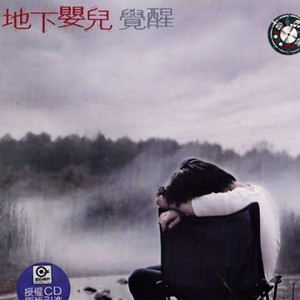 地下婴儿1998《觉醒》专辑封面图片.jpg